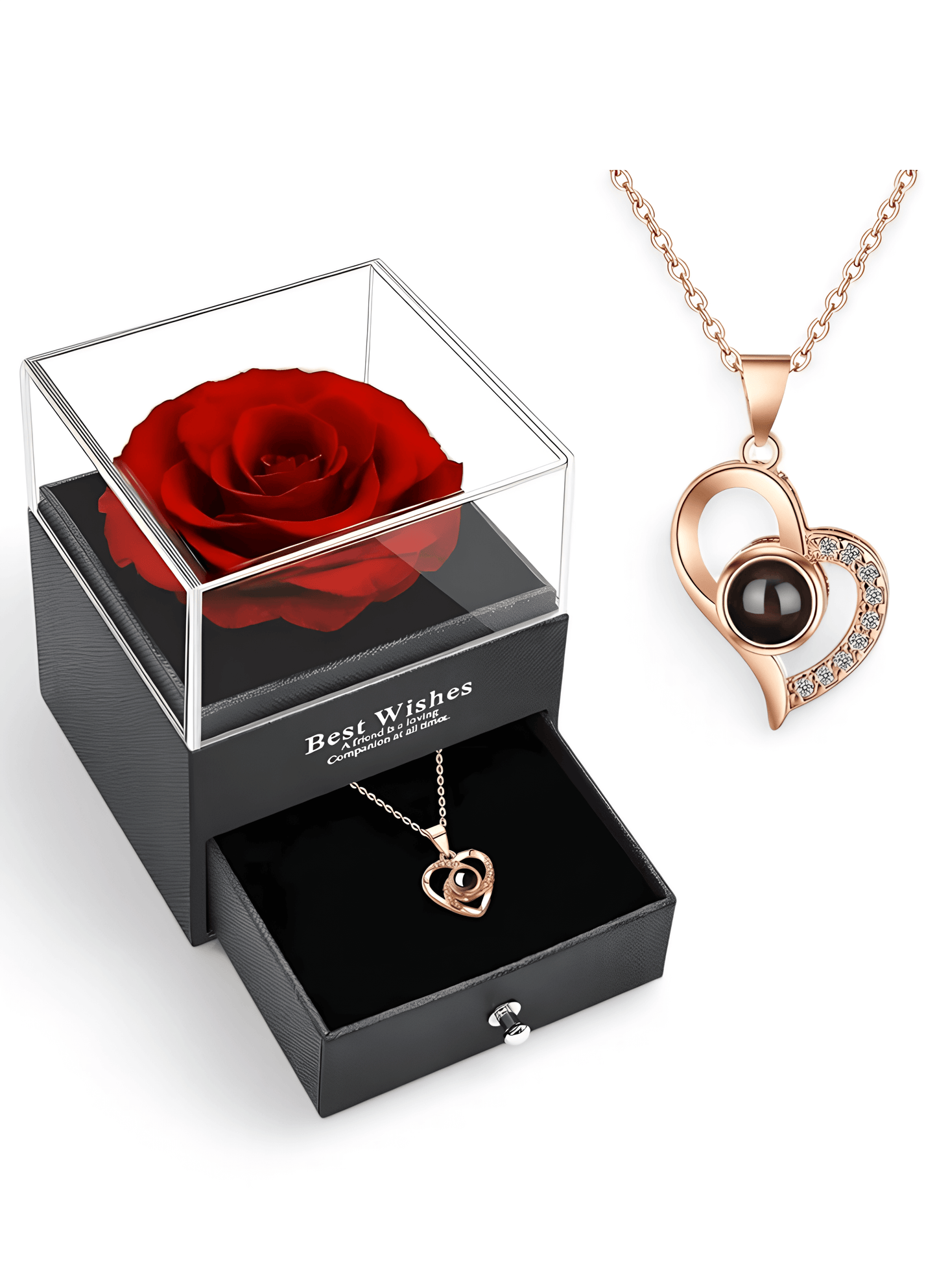 Whispers of Love: 100 Languages Projection Necklace Set - Diva Dash